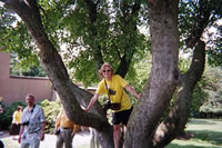 High Meadow Grounds with Picnickers
