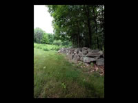 High Meadow & Grounds