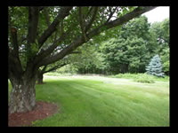 High Meadow & Grounds