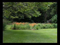 High Meadow & Grounds