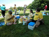 High Meadow Grounds with Picnickers