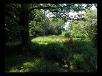 High Meadow & Grounds