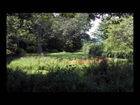 High Meadow & Grounds