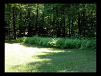 High Meadow & Grounds