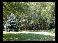 High Meadow & Grounds