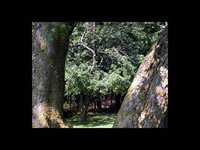 High Meadow & Grounds