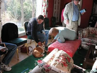 Jet meeting The Wolfe Pack