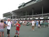 grandstand