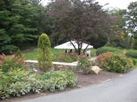 Picnic tent on the lawn