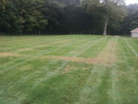 Rex Stout's renowned Iris beds and Day Lily beds were located here. The beds were raised. The path around them can still be seen.