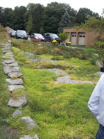 The garden and garages