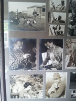 Many Photos and Photo Collages throughout the house