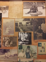 More built in bookshelves