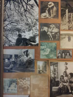 More built in bookshelves