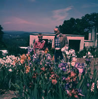 REX STOUT with young visitor in his garden