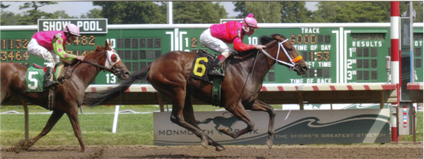 Coffee in Bed Finish Line